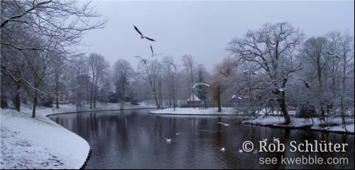 Panoramafoto van een besneeuwd park waar meeuwen boven het water vliegen.