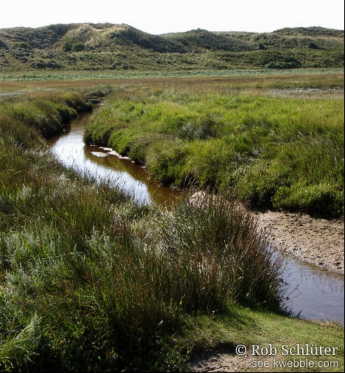 Een kreek slingert door ruig grasland van de Slufter op Texel.