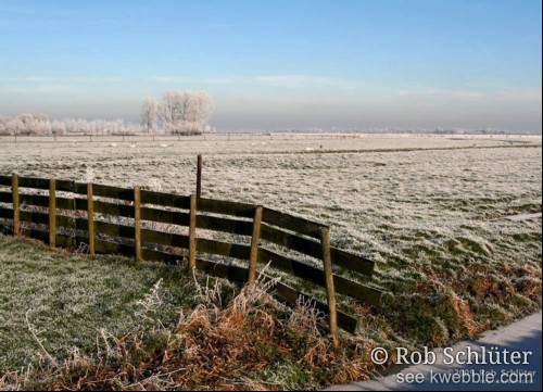 Vergezicht over een met rijp bedekt weiland, wit berijpte bomen in de verte en een houten hek op de voorgrond.