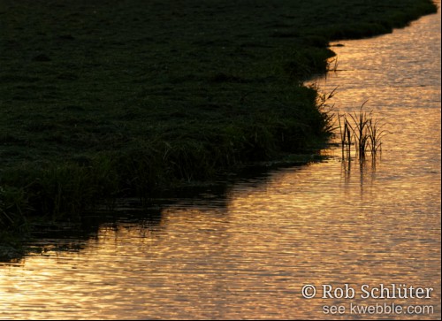 Een veelvoud van oranje rimpelingen reflecteert het lage zonlicht in een sloot naast een pasgemaaid weiland.