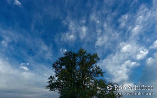 Een groothoekopname met op de voorgrond de groene kruin van een enkele boom. Daarachter een dramatische wolkenlucht variërend van lichtblauw tot wit. Tussen de wolken stijgt een klein vliegtuig op.