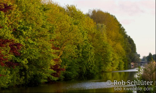 Uitkijkend over de Leidsevaart zie je links bomen met heldere kleuren op de oever staan.