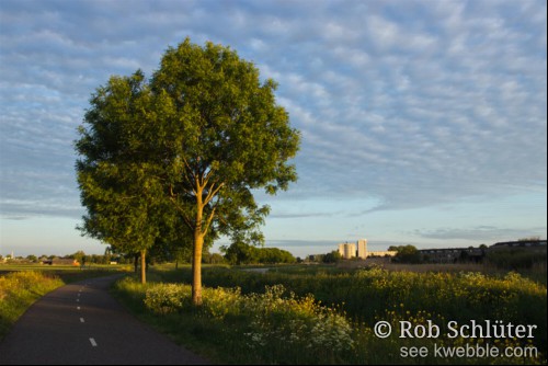 Bomen in de bloeiende berm van een bocht in een fietspad worden verlicht door de laagstaande zon. De lucht is gevuld met een golfpatroon van lichte en donkerder wolkjes.